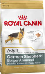 german-shepherd-adult